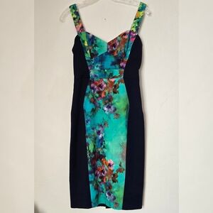 Black Halo Watercolor Floral Dress Sz 2